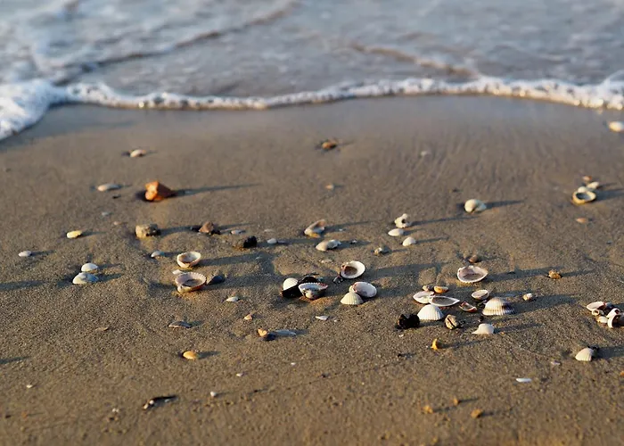 Practical With Balcony - Beahost * Bibione