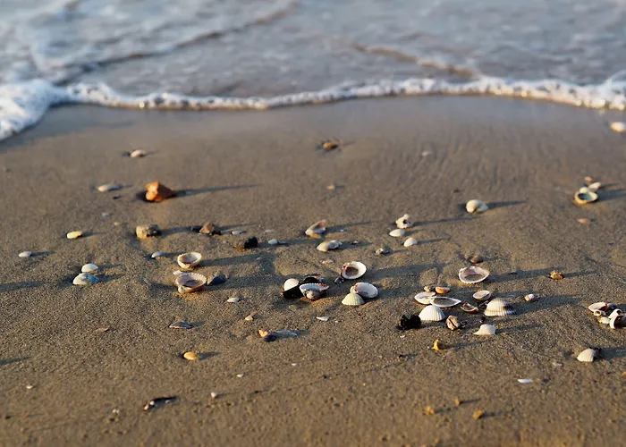 Practical With Balcony - Beahost Bibione